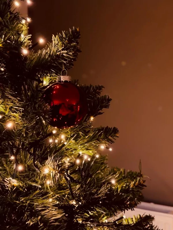 Wat wensen wij jullie voor de feestdagen?