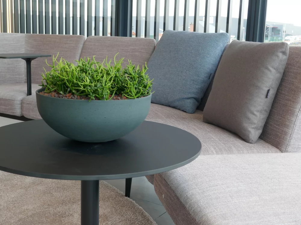 Nicolaï Fruit: Kantoorinrichting op Maat