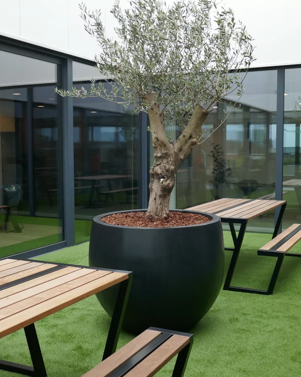 Nicolaï Fruit: Kantoorinrichting op Maat